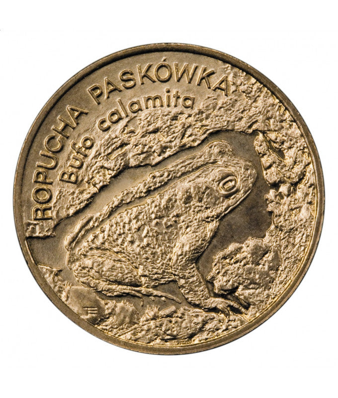 Moneta 2 zł ropucha paskówka