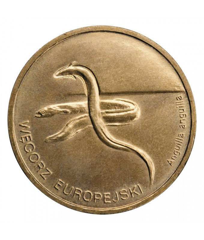 2 zł Węgorz europejski 2003